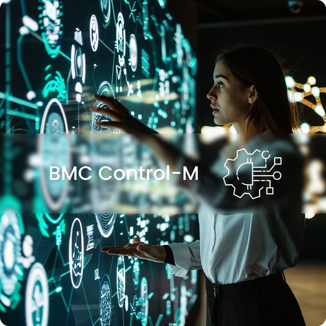 Bmc Control M Color Code Order - Soluções em TI
